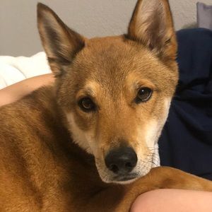 Meet your Posher, Franklin